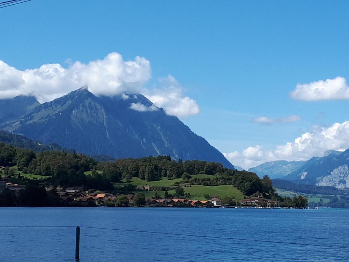 Berner Oberland Am Thunersee Därligen Εξωτερικό φωτογραφία