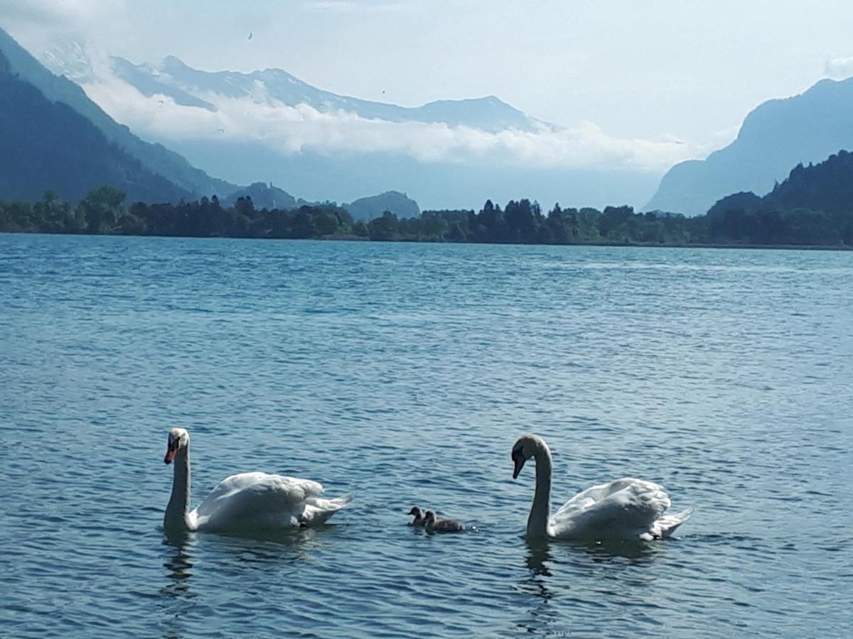 Berner Oberland Am Thunersee Därligen Εξωτερικό φωτογραφία