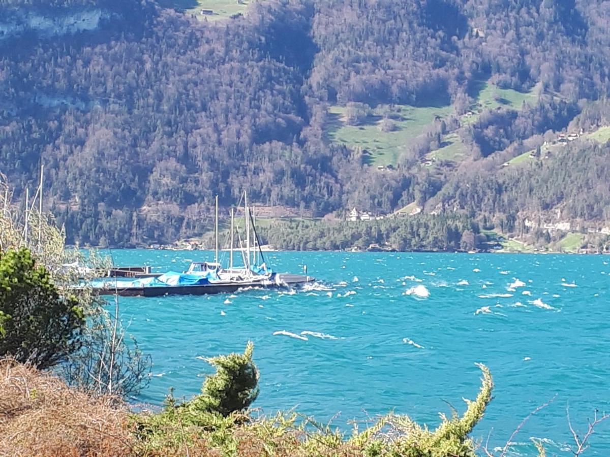 Berner Oberland Am Thunersee Därligen Εξωτερικό φωτογραφία